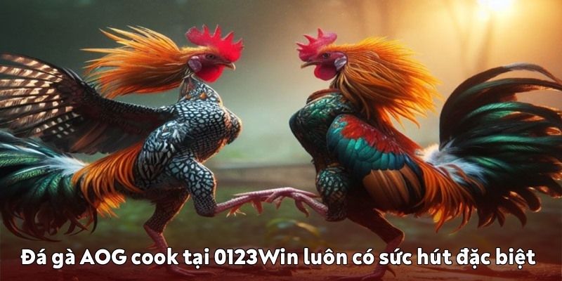 AOG cook tại 0123Win 