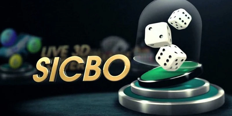 Live sicbo casino - Tận hưởng không gian cá cược đỉnh cao 2 Live sicbo casino - Tận hưởng không gian cá cược đỉnh cao